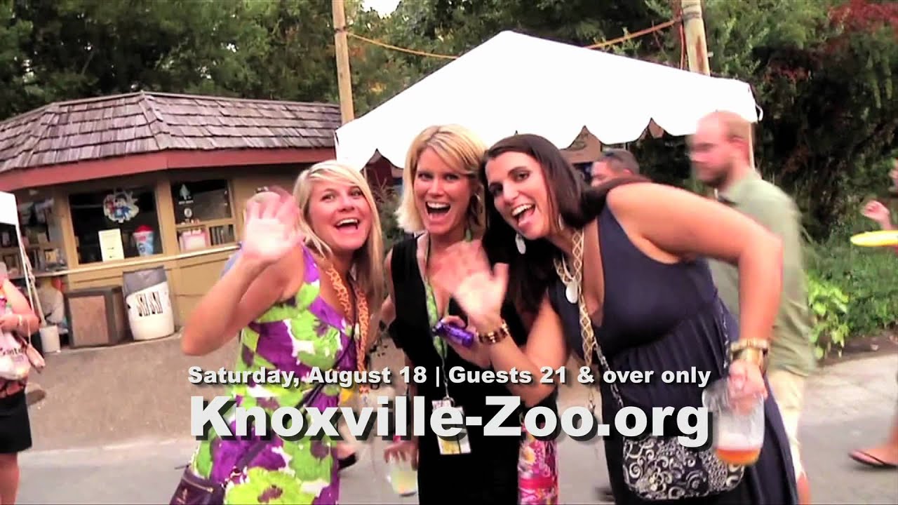 3285051 Knoxville Zoo Feast with the Beasts • Knoxville, TN YouTube