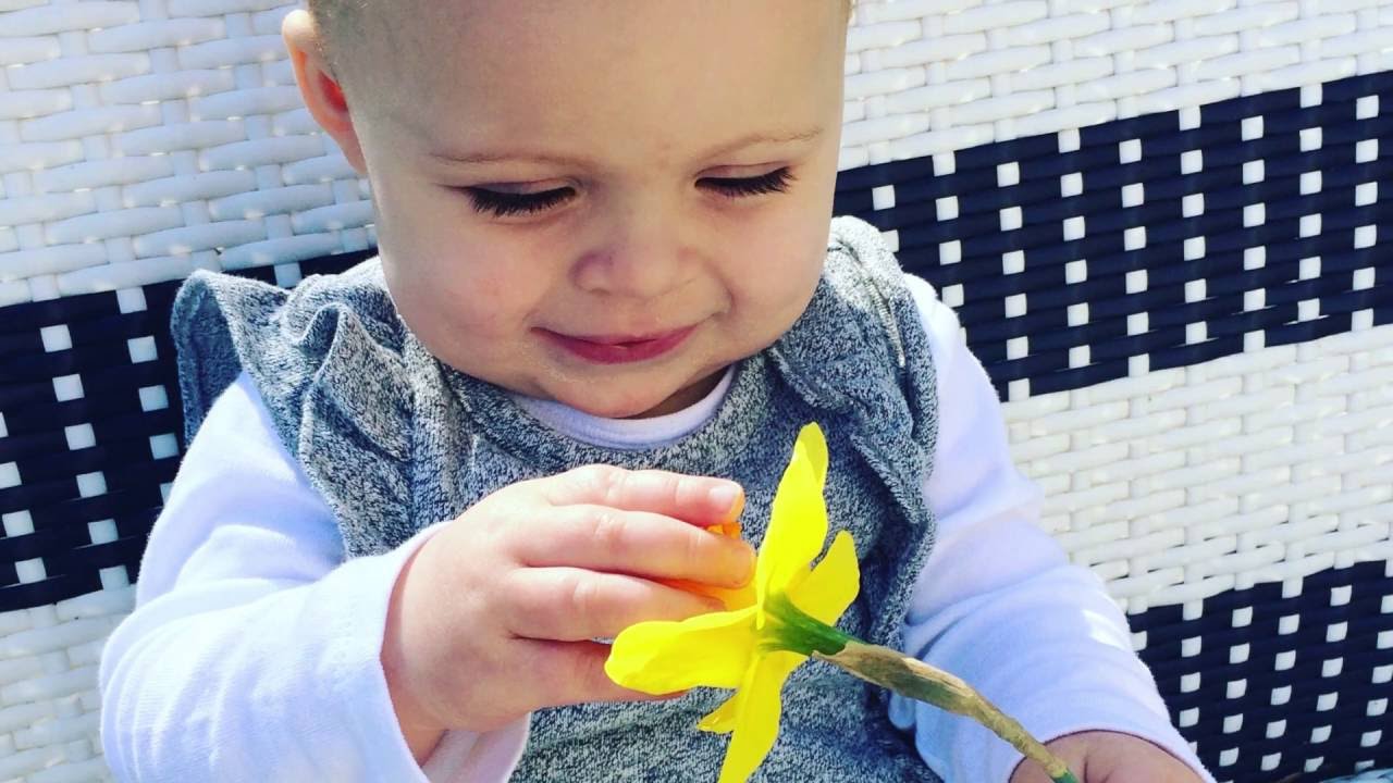 What Does It Mean To Donate Life With LifeCenter YouTube What Does It Mean To Donate Life With LifeCenter YouTube