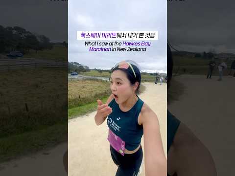 뉴질랜드 혹스베이 마라톤에서 내가 본 것들