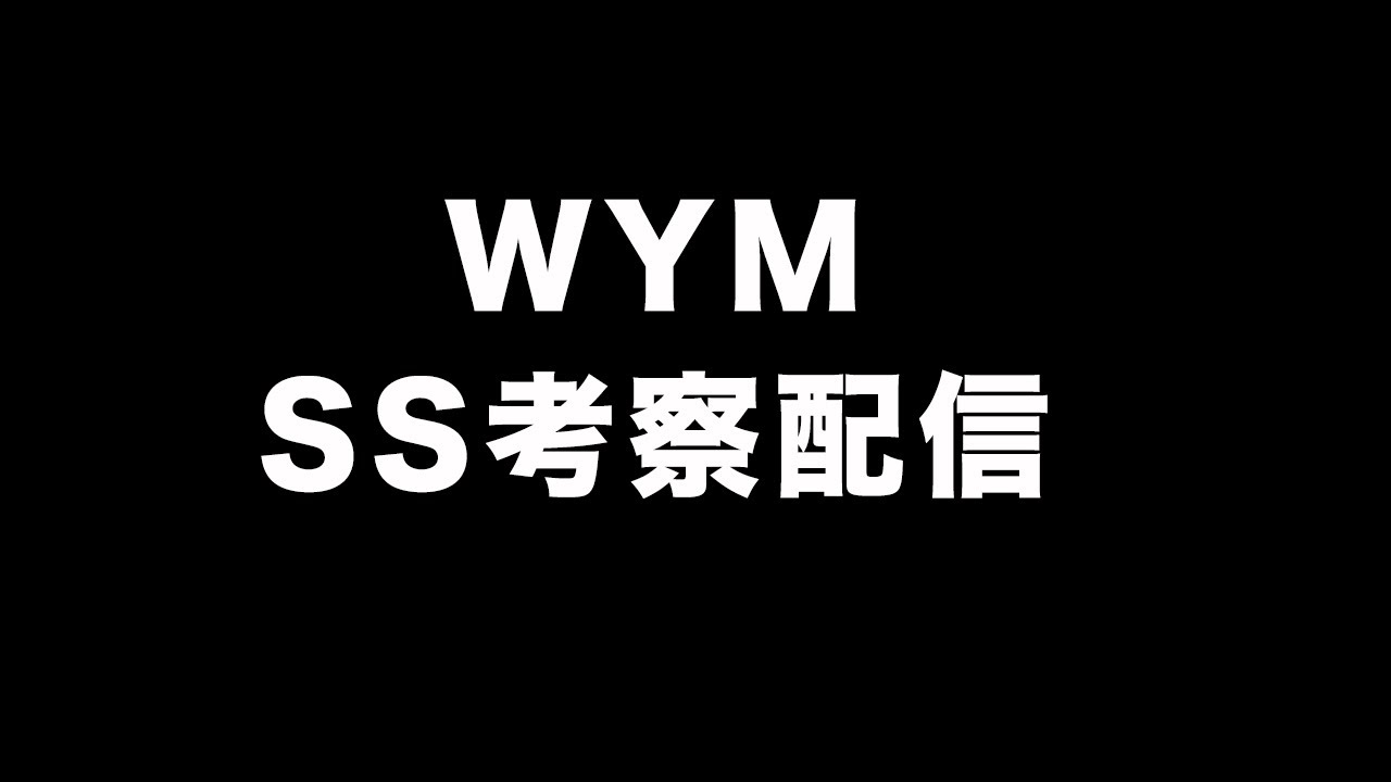 「WYM」考察動画上げれないから配信します