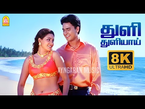Thuli Thuliyaai - 8K Video Song | துளி துளியாய் | Paarvai Ondre Pothume | Kunal | Monal | Bharani