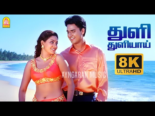 Thuli Thuliyaai - 8K Video Song | துளி துளியாய் | Paarvai Ondre Pothume | Kunal | Monal | Bharani