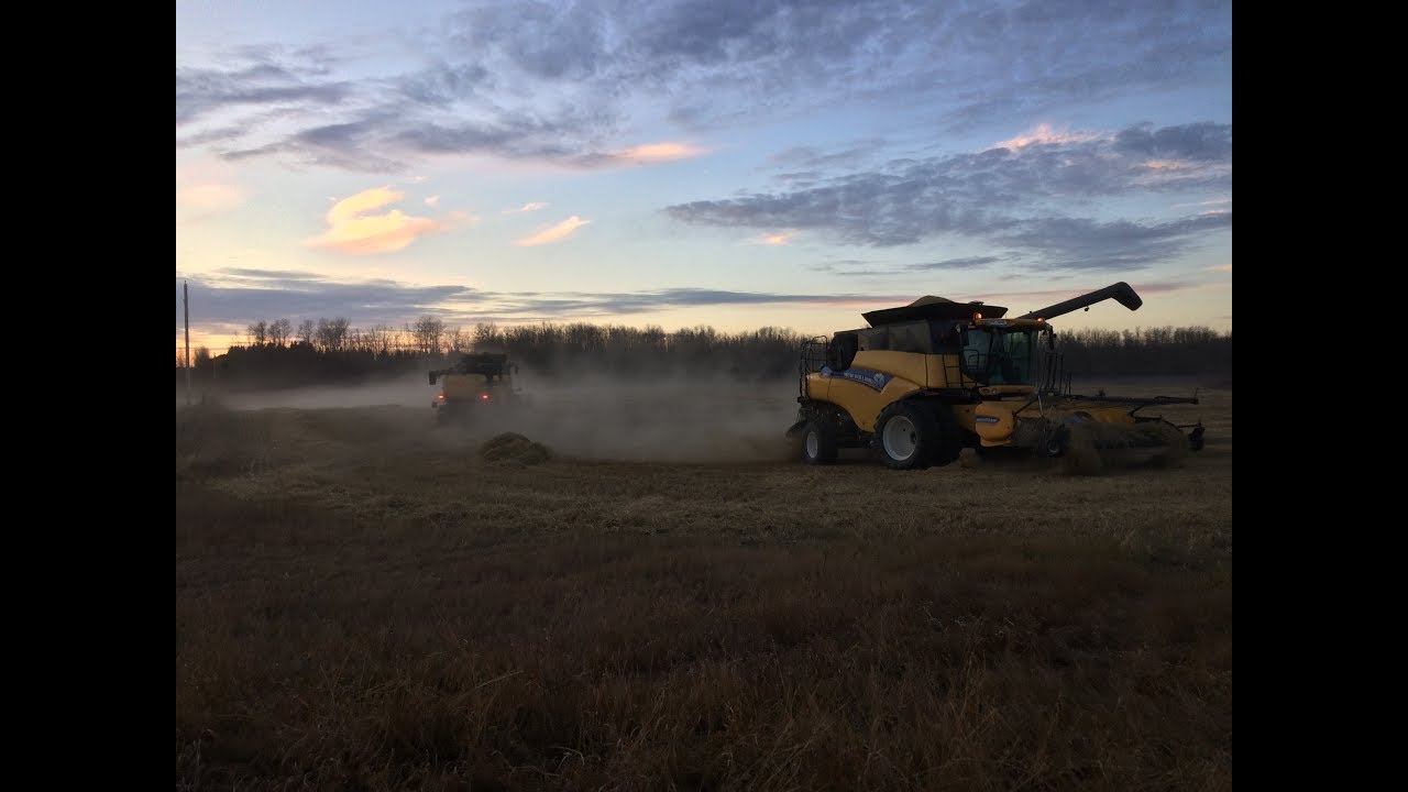 Schmid Farms Harvest 18!