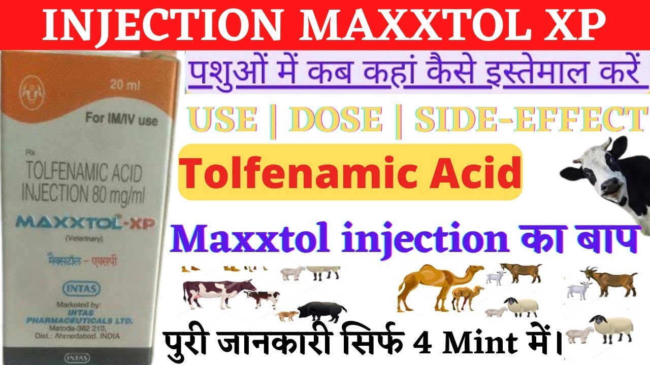 Injection Maxxtol XP | Tolfenamic Acid Injection 80% | Maxxtol XP Uses ...