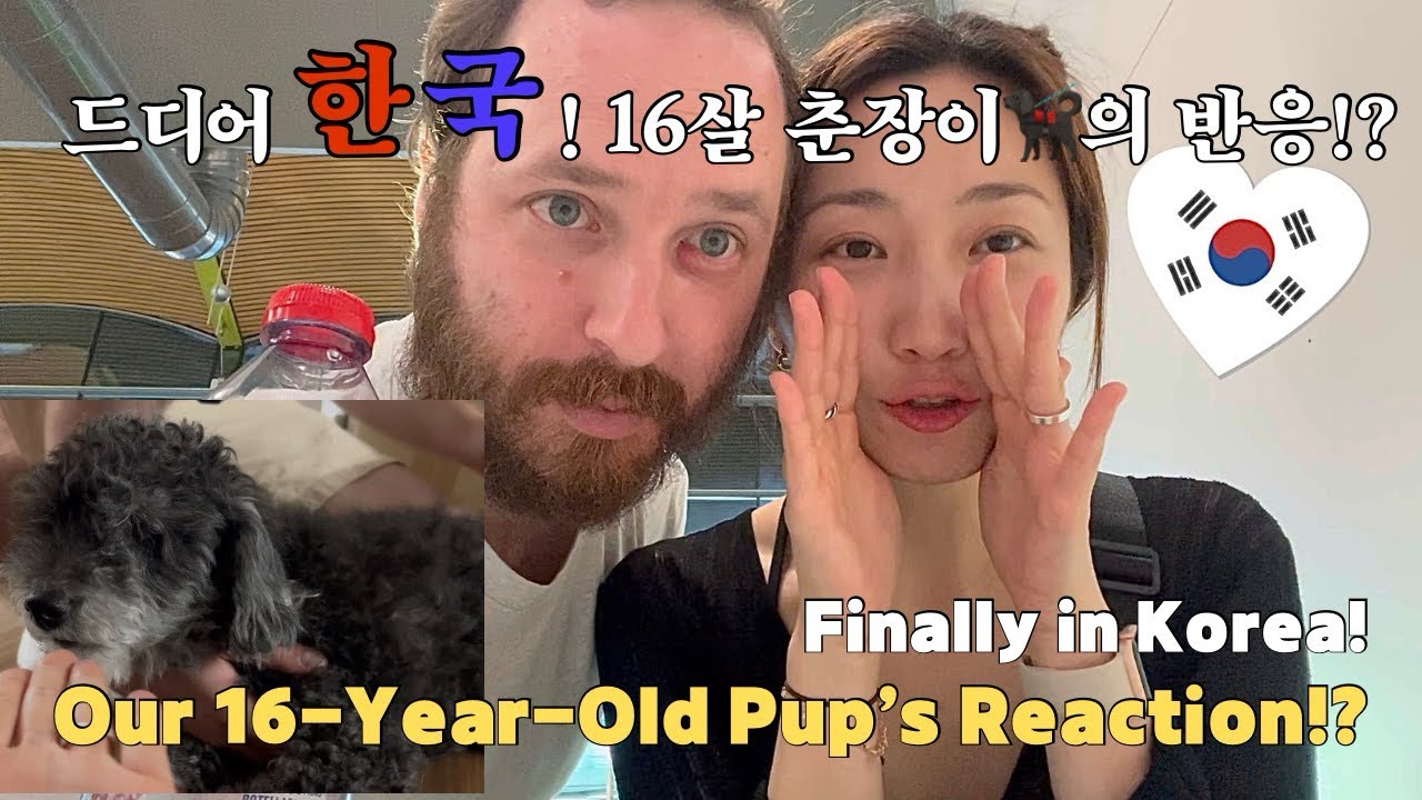 국제커플 Vlogㅣ9개월 만에 한국! 반려견과 감동 재회🐾 짐싸기 대혼란✈️｜Back in Korea! 🐕‍🦺 Reunion & Packing Mayhem✈️ㅣCouple Vlog