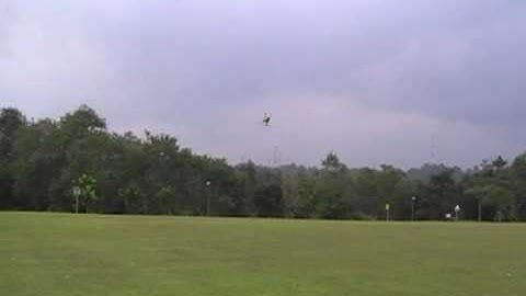 walkera v450d03 fly 3D by heli fix