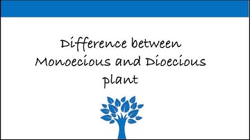 Difference between Monoecious and Dioecious plant | Study Biology with Aarti | Biology Diaries