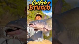 Catfish Brunch Would You Try This??