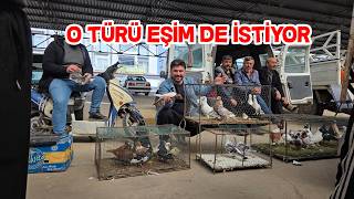 Güvercin Pazarında Bu Türü Uzun Süredir Görmüyordum