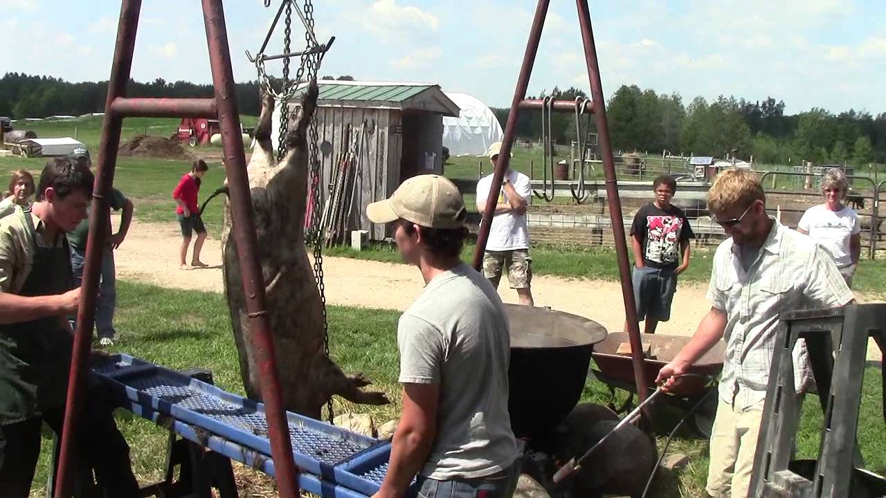 Bakers Green Acres Footage Part 28 YouTube
