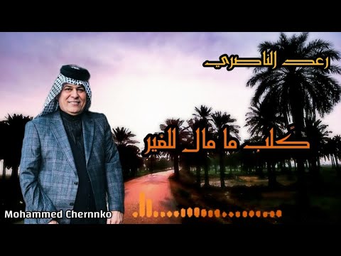 رعد الناصري كلب ما مال للغير طرب عراقي ريفي رعد الناصري طرب ريفي عراقي 2025