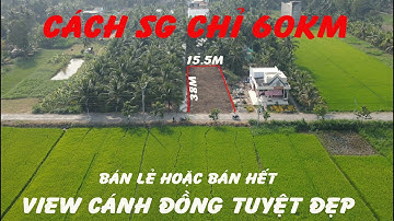 (Đã bán)mặt tiền lộ gần ubnd xã chợ và trường 11,5m x 38m tại Long Bình Gò Công Tây Tiền Giang