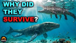 Why These Reptiles Survived When Mosasaurus Didn’t
