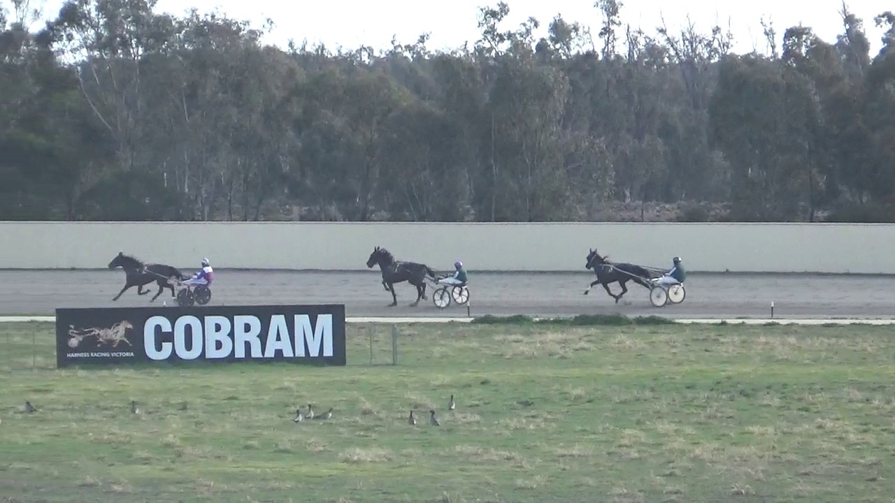 Cobram Harness Racing Trial 1 23072017 YouTube