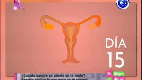 ¿Cuánta sangre se pierde al día durante la menstruación?