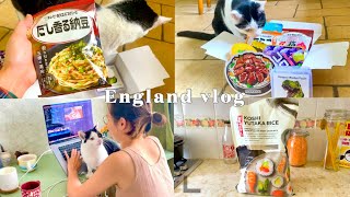 日本から届いた贈り物。イギリスで炊く白いご飯。早くも新しい家族ができました。【猫と暮らすイギリス２人暮らし