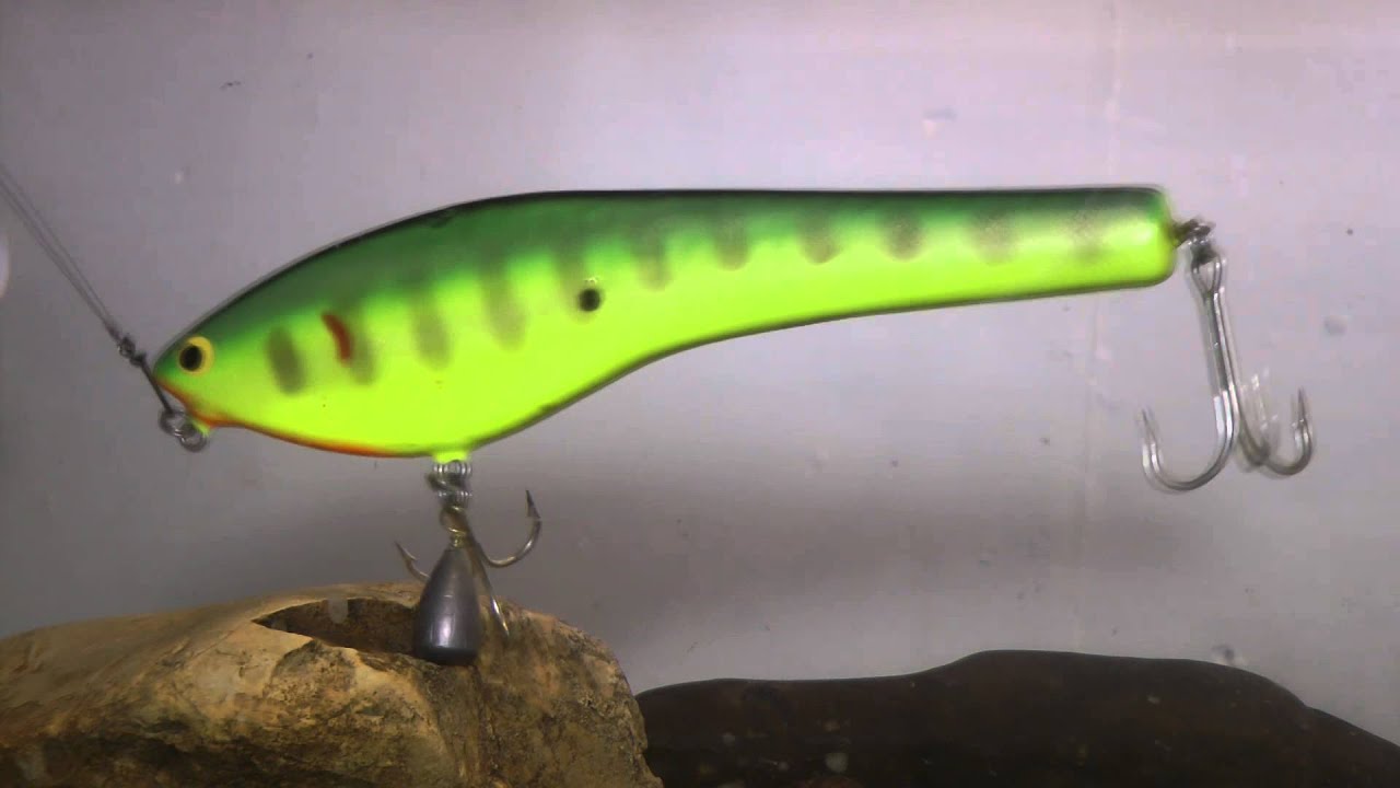 Bagley Glide baits best Fishing Video on Species by WillCFish Tips and  Tricks. 