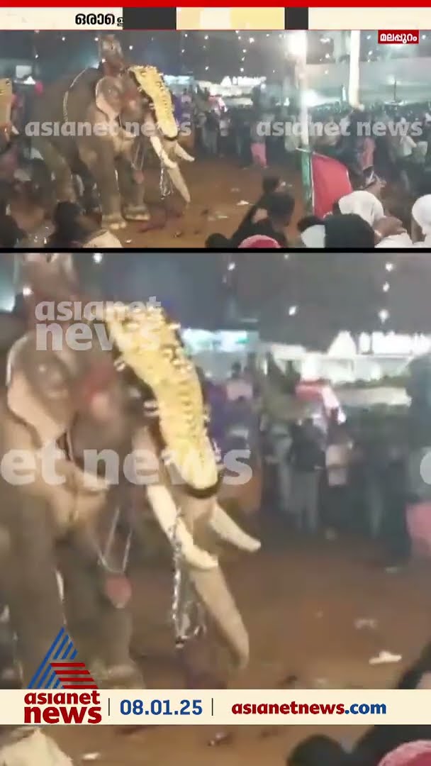 മലപ്പുറത്ത് നേർച്ചക്കിടെ ആനയിടഞ്ഞു, ഒരാളെ തൂക്കിയെറിഞ്ഞു