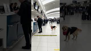 He Rescued His Dog From The Intruder