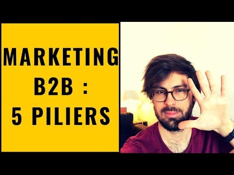 MARKETING B2B - LES 5 PILIERS