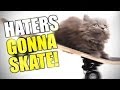 Skate 3 - FUNNY MOMENTS - Part 1