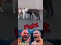 Усик - Фьюри бой! Слив боя! Oleksandr Usyk vs. Tyson Fury