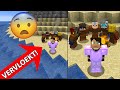 GESTRAND OP EEN VERVLOEKT EILAND! (Minecraft)