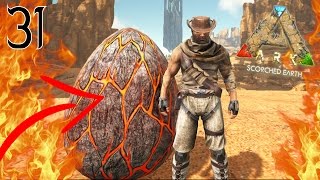 Je Capture Enfin Un œuf De Wyvern Ark Scorched Earth Ep31 Youtube Je Capture Enfin Un œuf De Wyvern Ark Scorched Earth Ep31 Youtube