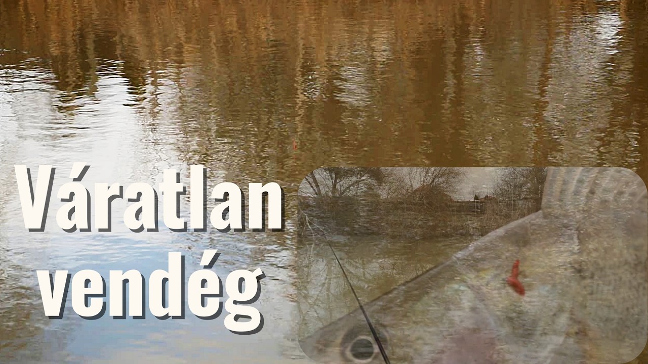 Jégolvadás után – finom úszós keszegezés, váratlan vendéggel