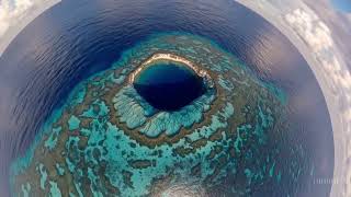 Exploring The Depths Of Belizes Great Blue Hole