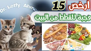 افضل وجبة لقطتك من البيت / صحية و رخيصة جداا - الطعام الاقتصادي للقطط 🍗 #catfeeding