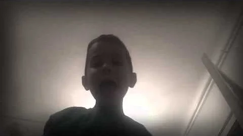 "Disco Christmas in Hamster Land" Fan Video