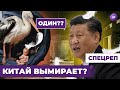Китай ВЫМИРАЕТ. Впереди кризис. Что будет с Россией? | МАСЛОВ, ДУШКИН