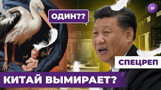 Китай ВЫМИРАЕТ. Впереди кризис. Что будет с Россией? | МАСЛОВ, ДУШКИН