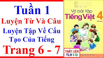 Vở Bài Tập Tiếng Việt Lớp 4 | Tuần 1 | Luyện Từ Và Câu | Luyện Tập Về Cấu Tạo Của Tiếng Trang 6 - 7