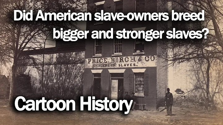 Did American slave owners breed bigger and stronger slaves? - DayDayNews