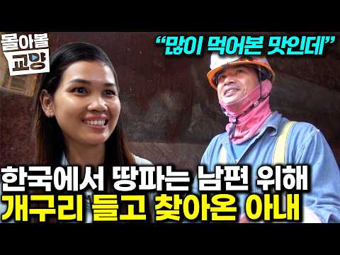 "당신이 왜 여기서 나와" 가족을 위해 한국에서 땀 흘려 고생하는 아빠에게 찾아온 캄보디아 아내의 기적 같은 선물 #몰아볼교양