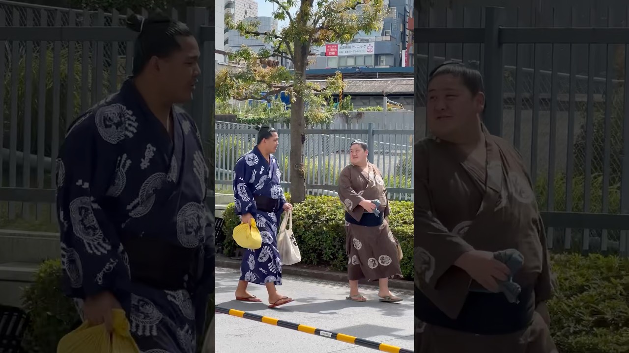 高杉② です。大栄翔 音羽山部屋 計2点 高杉② です。大栄翔 音羽山部屋 計2点 音羽山部屋】 - YouTube
