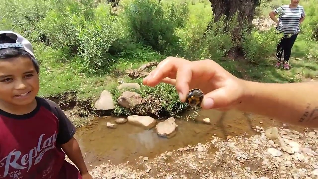 Platicando de las riquezas del rancho de mi suegro