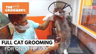 Cat Full Groom at The Groomery Hulong Duhat Honest Review | + TOKYO'S GENDER REVEAL STORY HAHAHA by Jamie Gotuato 307 views 2 years ago 4 minutes, 48 seconds