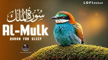 Surah Al-Mulk سورة الملك | Peaceful Lofi Quran to Calm the Mind and Heal the Soul #lofiquran