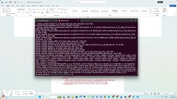 NNUNET run from online souce video