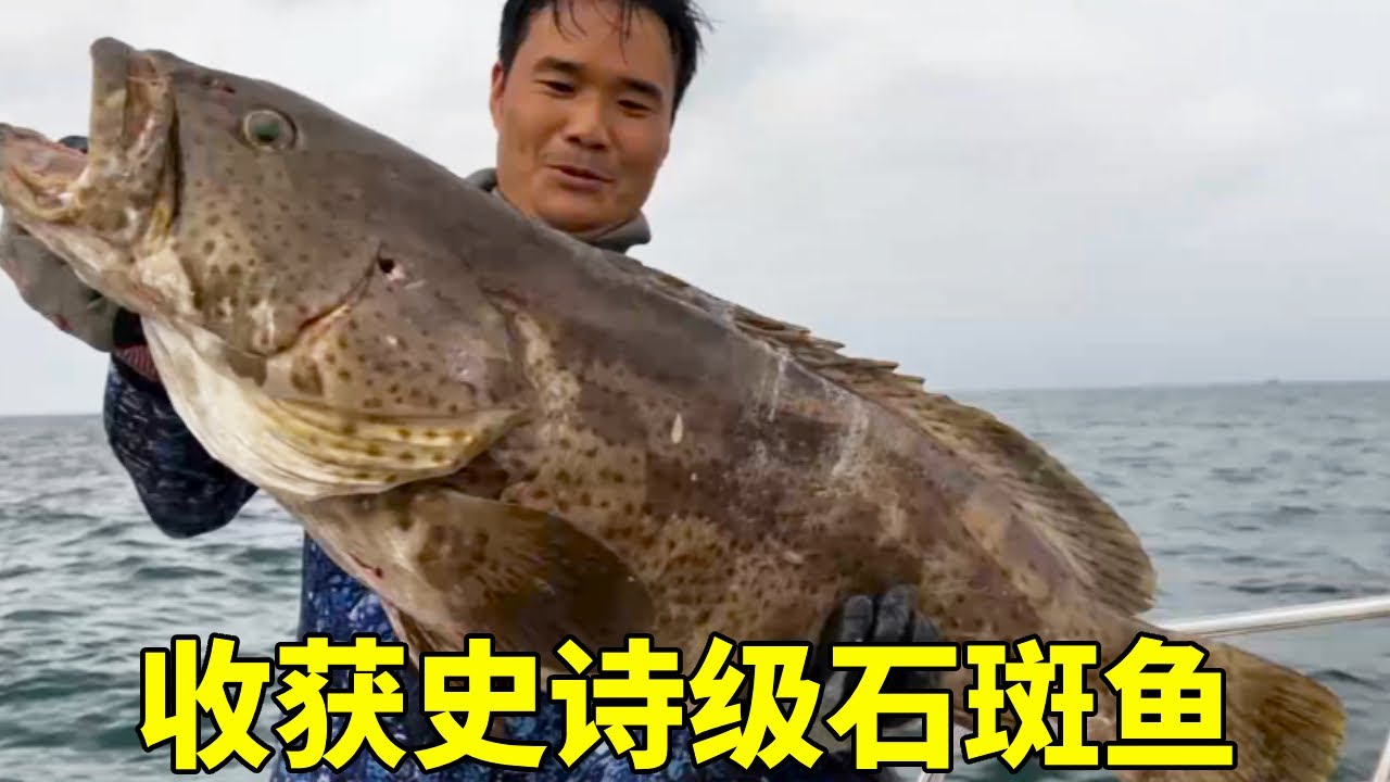 阿锋潜水发现财富密码，捅到历史性的大石斑窝，收获史诗级石斑鱼【探海漁人】