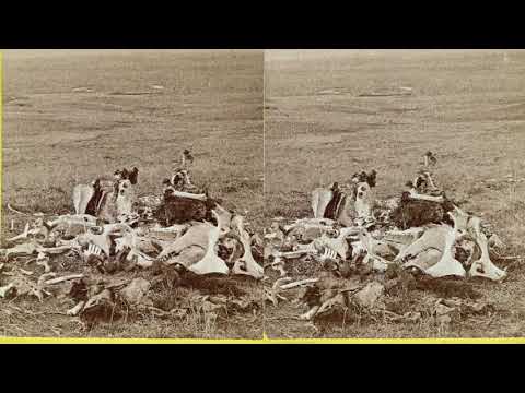General Custer,last stand,Little Bighorn Battlefield,Indians,bones,MT,c1876