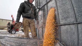 : Vacuuming Grain from the Silo