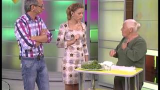 Мокрица - полезный сорняк для красоты и здоровья Мокрица - полезный сорняк для красоты и здоровья