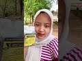 Herbal alami pengurai bau di dalam kandang #ternakayam #baukandang #solusinya #fypシ