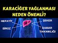 Sağlık,  Karaciğer, Yağlanması, Prof.Dr.Serdar Akgün, Serdar Akgün Tıp Videoları