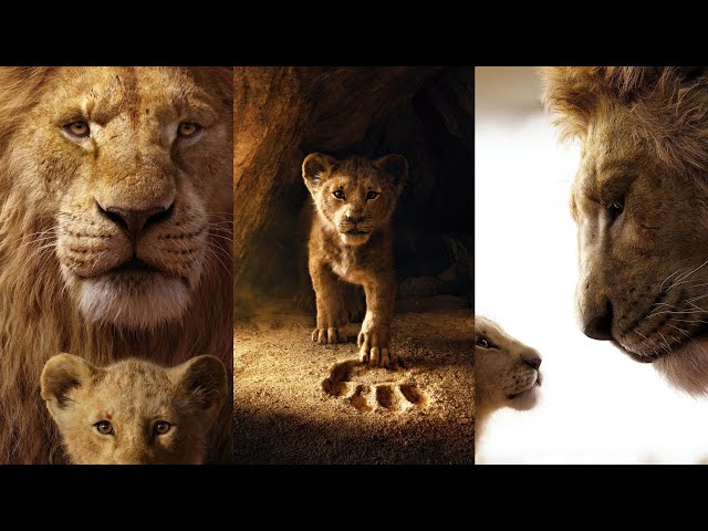 Lion King Screen WhatsApp Status | The Lion King | Simba | Status Song | Simba class=