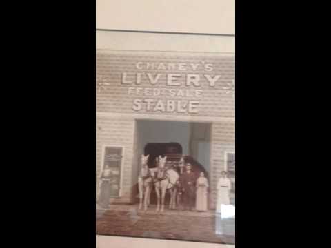 Chaney's Livery Feed & Sale Stable